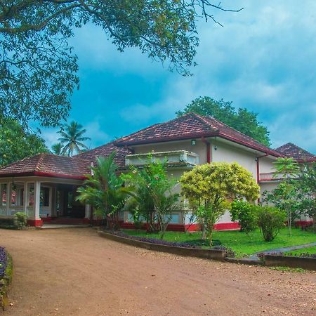 Randiyaepiliyagoda Resort Ависавела Екстериор снимка